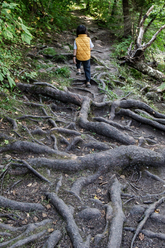 A child with long black hair in a yellow vest walks away from the camera over a floor of gnarled tree roots.