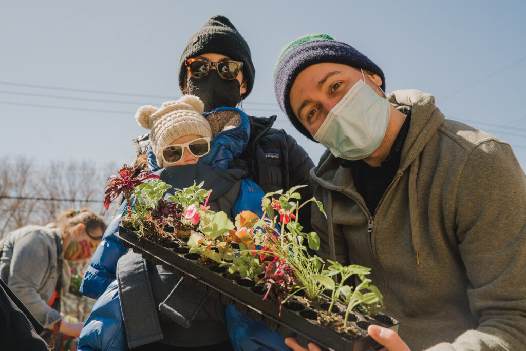 Two people in face masks and hats hold a box of seedlings. Sitting in a baby harness on the front of one person sits a baby with sunglasses and a white knit cap.