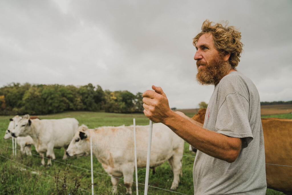 A bearded man in a gray t-shirt looks off in the distance while standing near a large white cow.