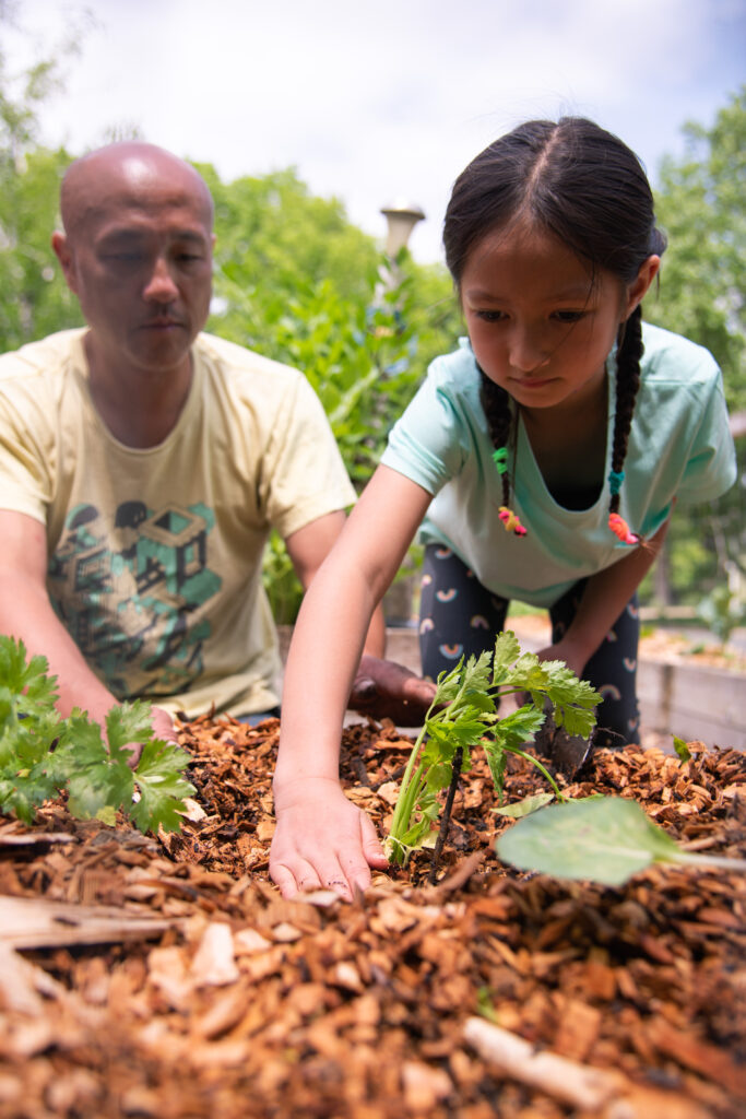 A youn ggirl with braids in a yellow shirt pats the ground around a newly planted sprout while her father in a yellow shirt looks on.
