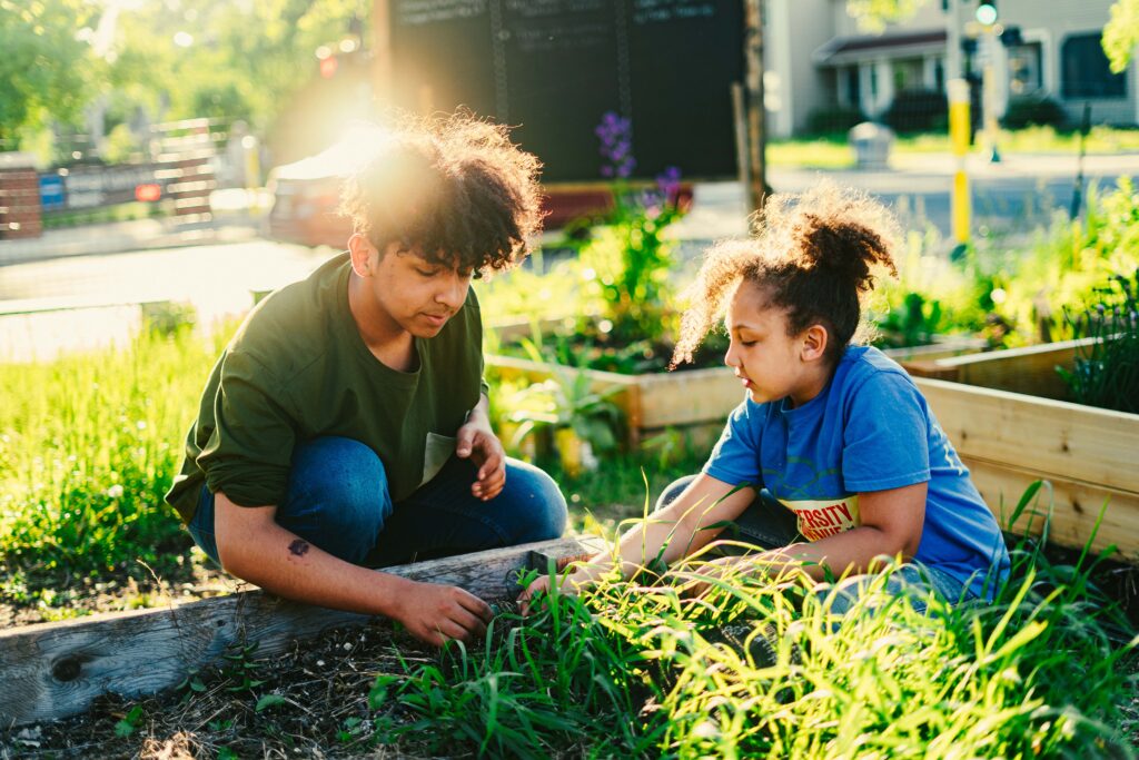 Two young people, one in a blue t-shirt and one in a green t-shirt, kneel by a garden plot in the sun.
