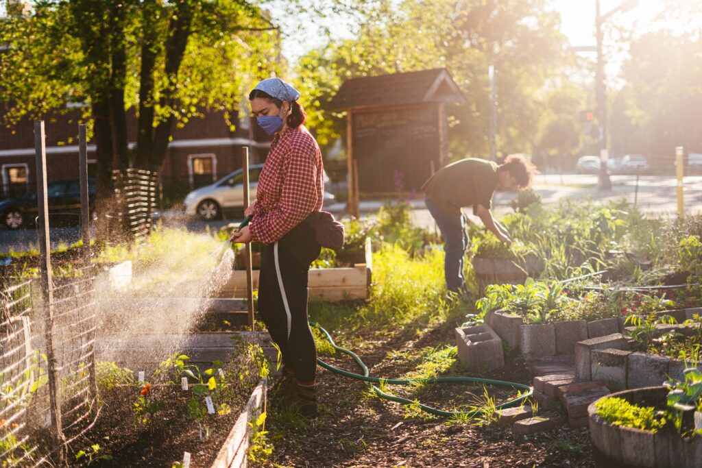 A person with a blue bandana, a red shirt, and black pants holds a hose and waters a garden plot.