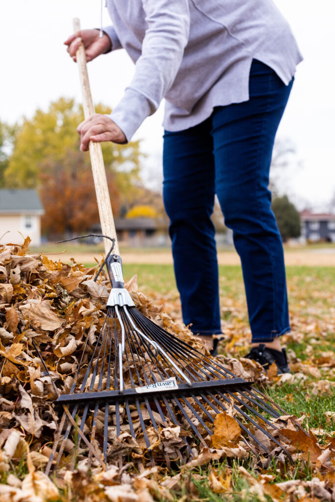 A person in jeans and a gray sweater rakes brown leaves.