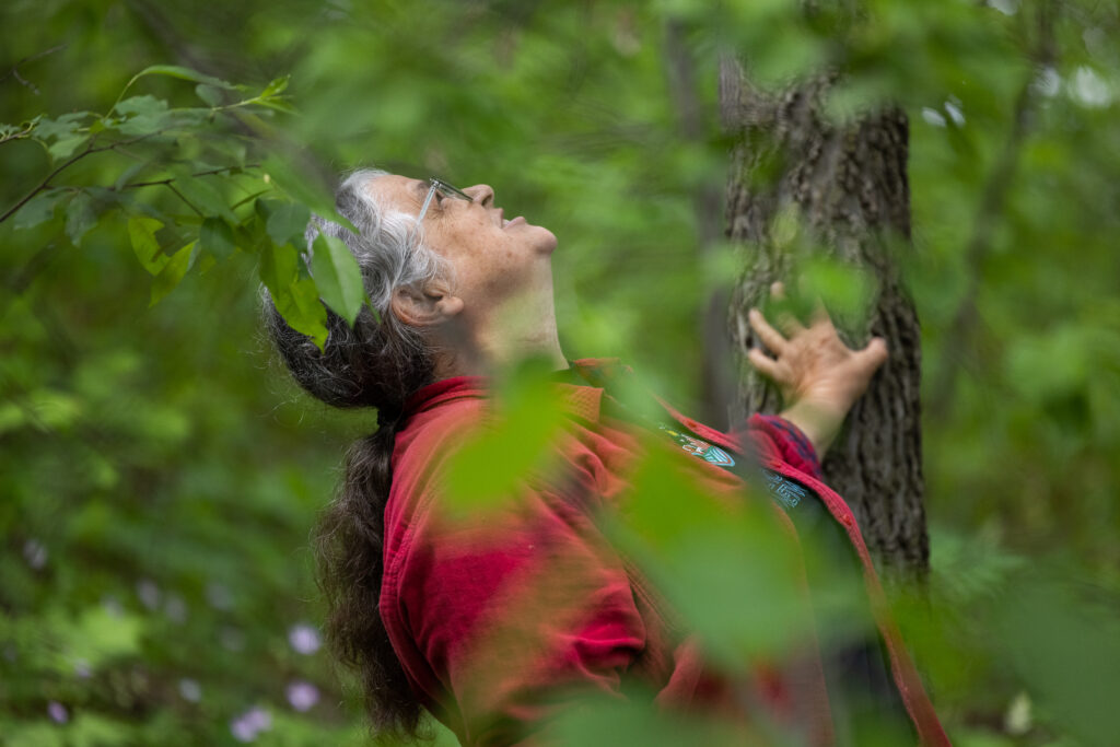 A woman in a red shirt with a black t-shirt underneath looks up toward the top of a tall tree while holding onto its trunk.