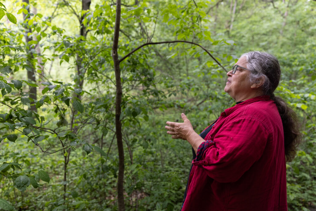 A woman in a red shirt with a black t-shirt underneath looks off into the forest.