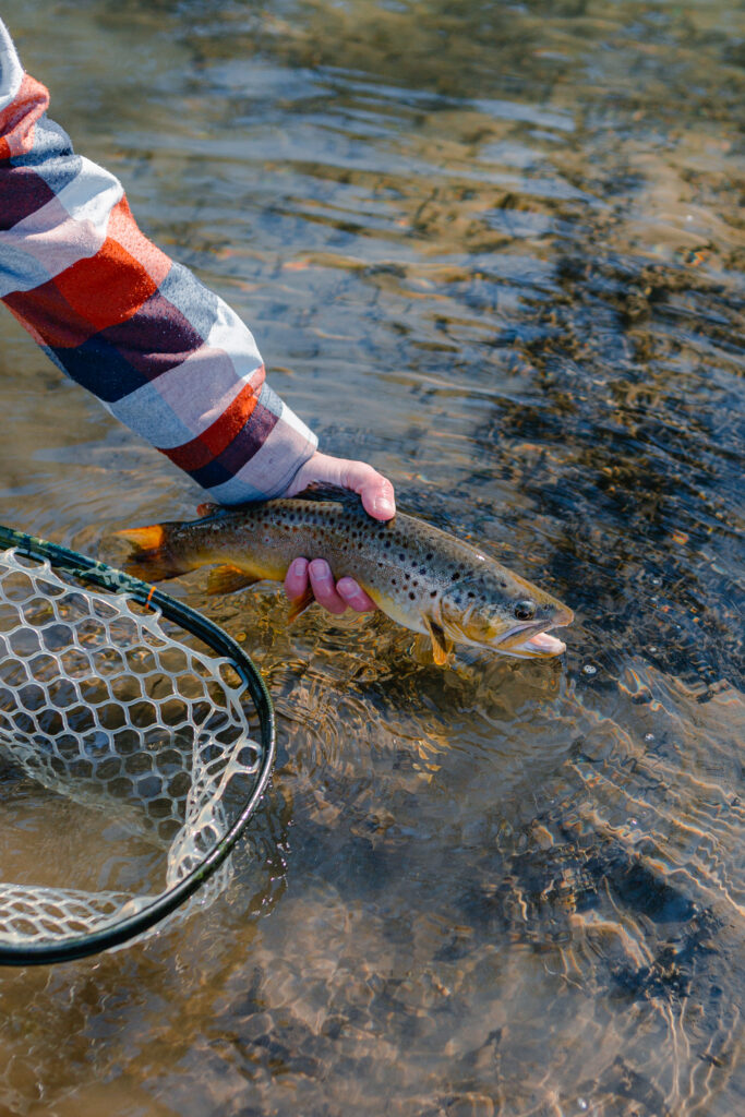 A person in a plaid shirt grabs a fish with their bare hands from the river.