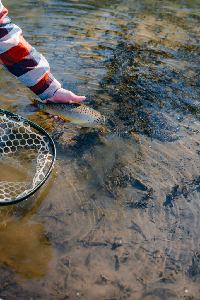 A person in a plaid shirt puts a fish back into a stream with their bare hands.