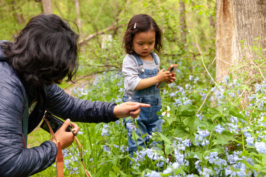 A woman points to blue lowers on the forest floor as a young girl in blue overalls looks on.