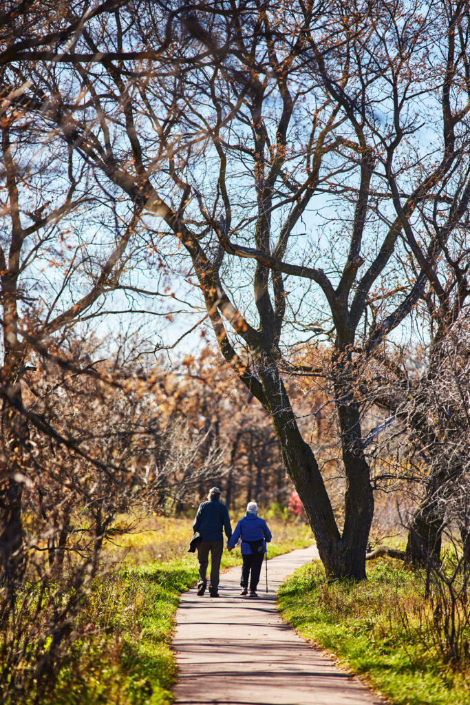 An older couple holding hands walk down a path between a grove of trees away from the camera.